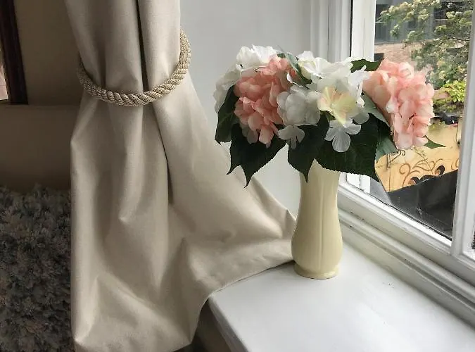 The Exhibition يورك