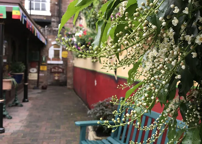 The Exhibition فندق مبيت وإفطار