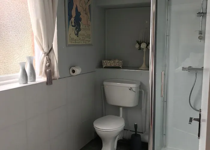 The Exhibition يورك