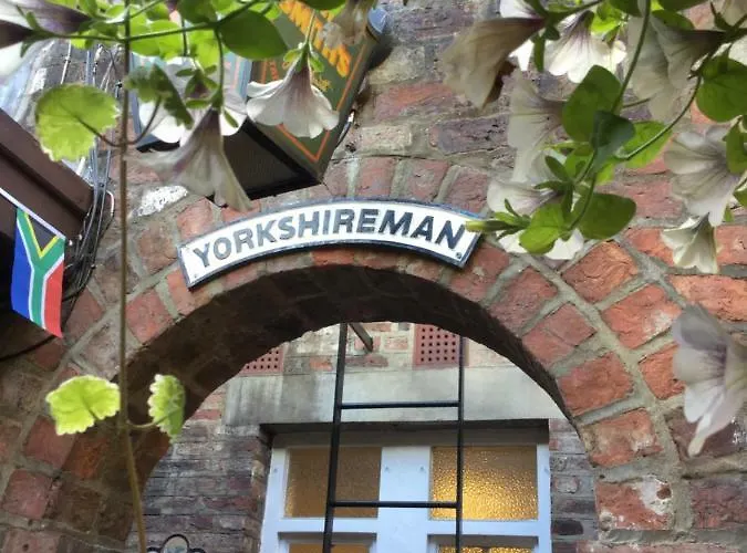 The Exhibition يورك