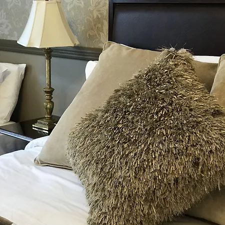 Bed and breakfast The Exhibition